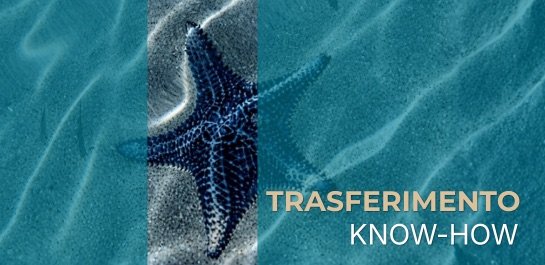 Know-how